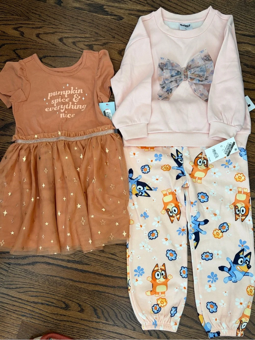 Kids Pumpkin Spice Tulle Dress & Pink Bluey Bow Pullover Set